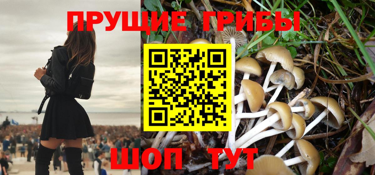 Псилоцибиновые грибы прущие грибы Курчатов